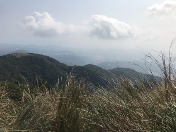 台北大縱走第二段1249245