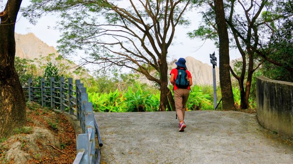 田寮月世界2954559