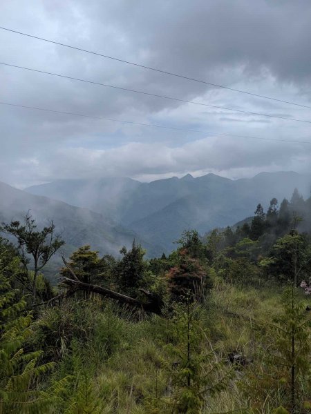 觀霧榛山登山步道912950