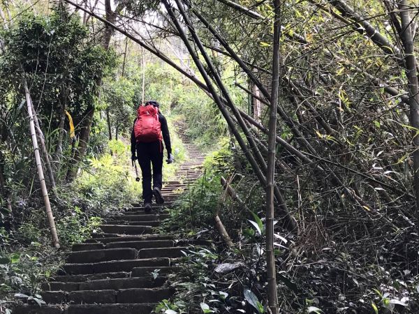 雲嘉梨子腳上大尖山314322