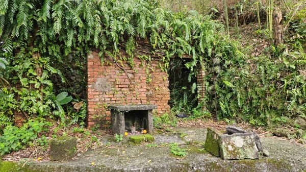 20250216貢寮山-水返港山-外文秀坑山-丹裡山2713226