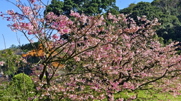 天元宮了嗎？2/32992587