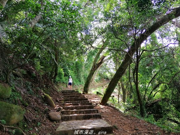 【新竹。芎林】綠蔭成徑。 小百岳集起來。編號27小百岳-中坑山x飛鳳山1443341