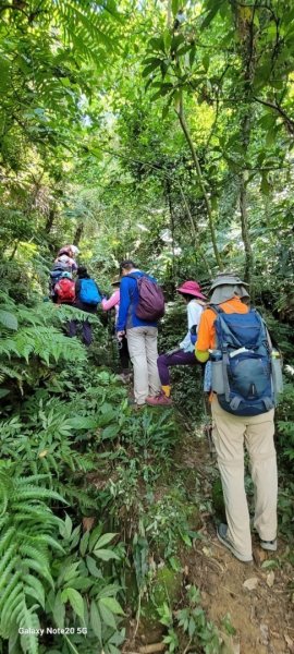 ［鳶山四秀］ ：［娘子坑山 ］［烏塗窟山］ ［五十分山］  ［鳶山］2303845