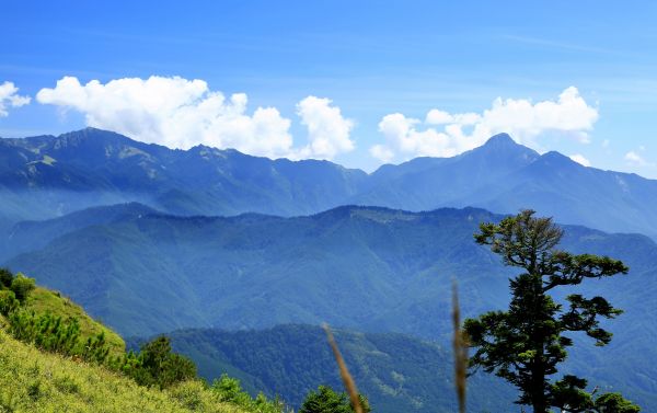 懷念雪山---台灣次高峰110194