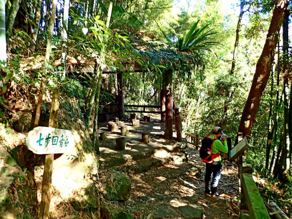 竹林饗宴--瑞太古道登雲戴山順走九芎坪山493569