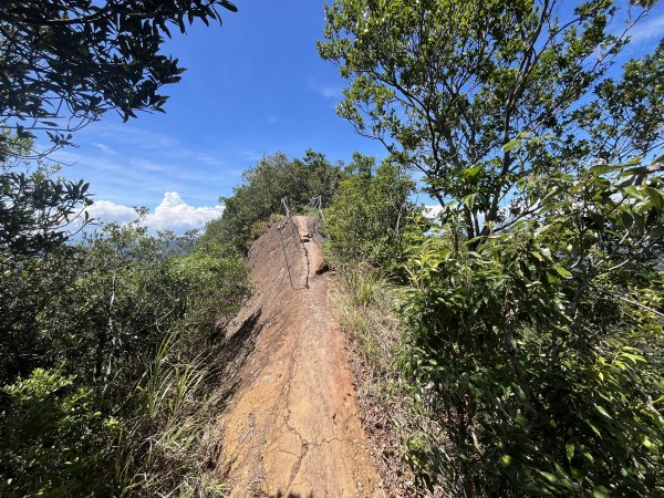 [微笑山線_第九段] 2025_0914 二格山系_天王峰2889628
