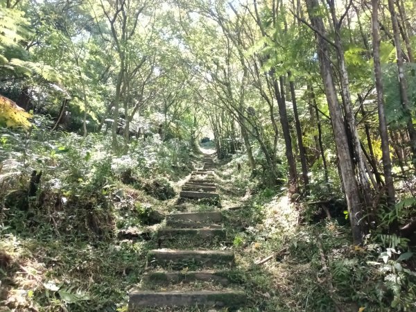 基隆市外西勢坑山+暖暖砲台+福基煤礦遺址O型2907974