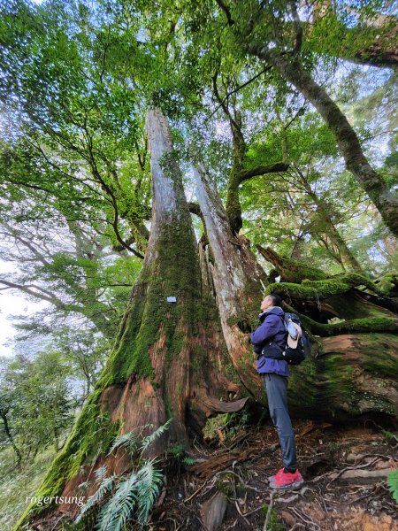 隆冬遊南橫，酷寒闖雙星(關山嶺山、塔關山)2707243
