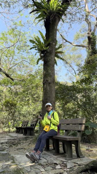 土城太極嶺|五城山|文筆山|峯花雪月2742827
