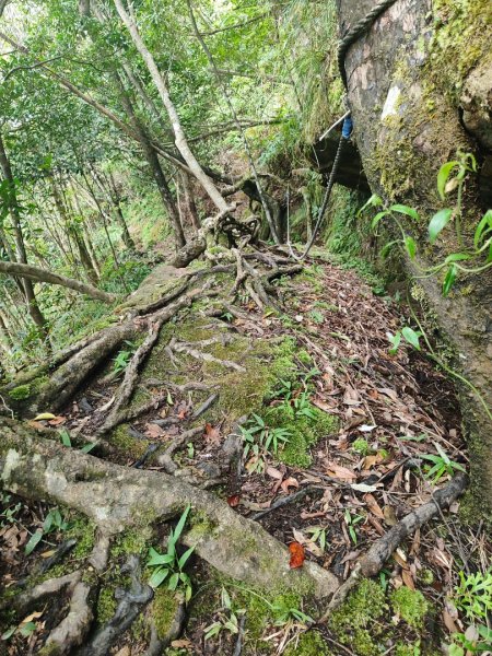 微笑山線五分山系菁桐-平溪-望古2881215