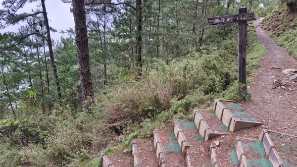 玉山北/西峰（排雲雲海/夕陽/下雨）1496208