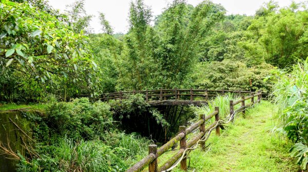 蛇子形古道。美廠產能完售2784732