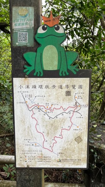 小百岳_大崙頭山2959953