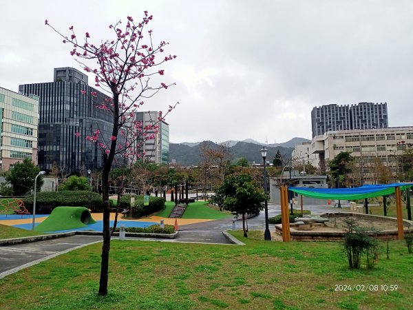 內湖運動中心、大港墘公園封面