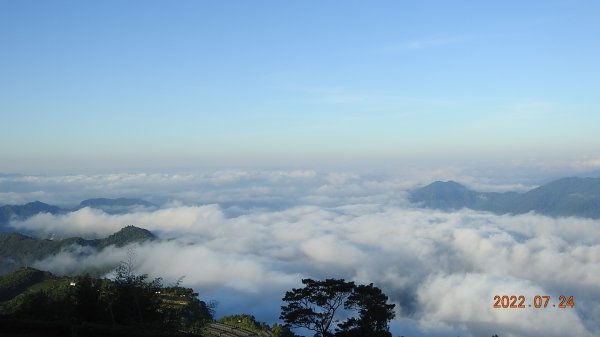 最高小百岳-大塔山2663M&阿里山二延平步道1775035