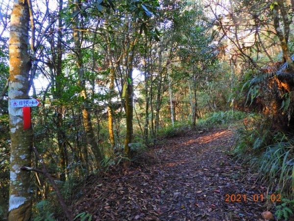 南投 仁愛 守關山、守城大山1223531