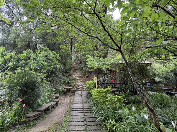 [微笑山線_第四段] 2026_0321 天上山系_天上山3020981