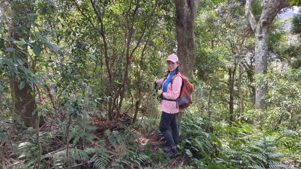 (姨婆趴趴走)第四集:桃園枕頭山古砲台步道、枕頭山、枕頭山西峰環狀縱走2111978