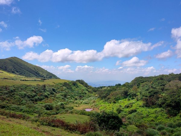 ［讓我們看雲去！］［擎天崗環形步道］&［竹篙山］（2023/9/19）2291008