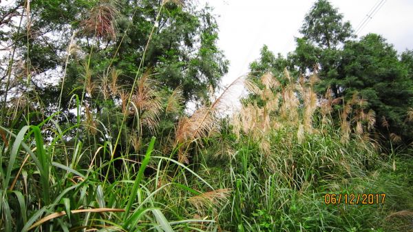 礁溪 - 聖母步道  煙雨故人來 ... 222692