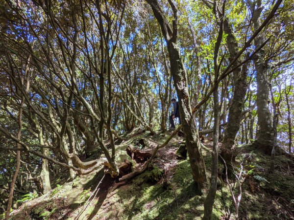 志繼山東眼山拉卡山1491079