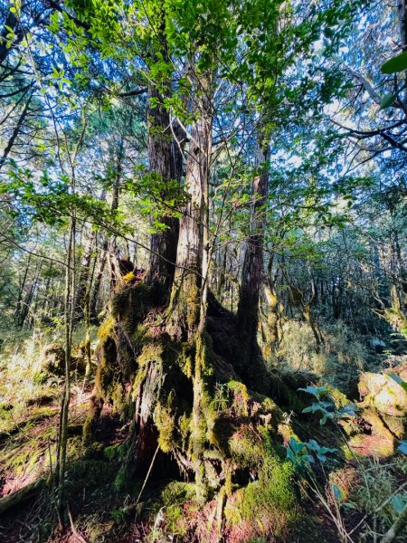 走入魔幻森林 探訪三星池與妹池2950154