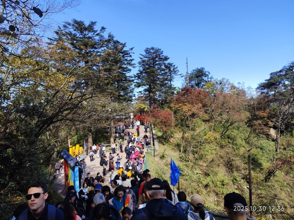 四川峨眉山、成都索菲斯錦苑賓館 (2-2)2940347