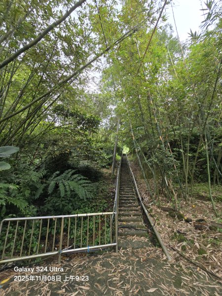 2025-11-08微笑山線：【五分山系】菁桐煤礦段2932701