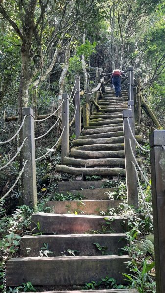 《台中》虎頭蜂巢｜大坑5號登頭嵙山黑松亭（聖普宮）202508092855082