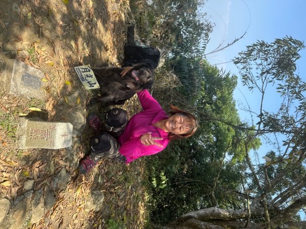 高雄美濃月光山2734945