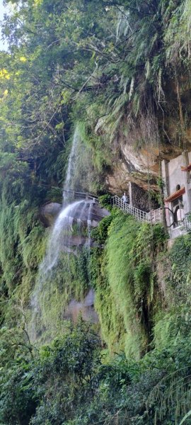 樟湖步道…樟樹步道…貓空…銀河洞越嶺道…銀河洞2189442