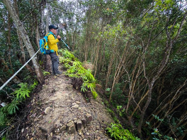 2025-03-08 汶水三山：金童山、汶水山、玉女山 連走2736524