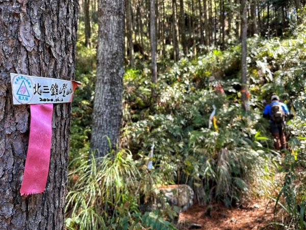 北三錐山 大雪山 200林道 賞楓行2373110