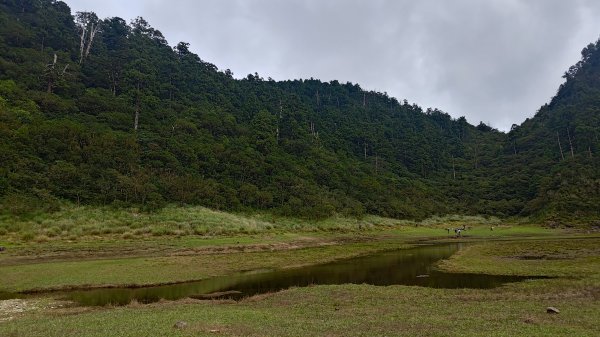 棲松縱走未竟2918331