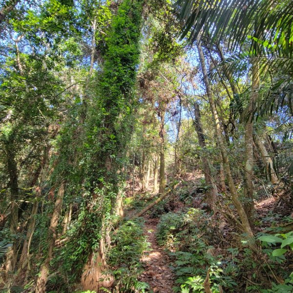 馬那邦山、細道邦山（小百岳）2435581