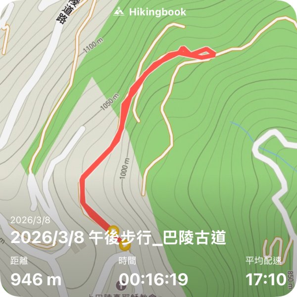 桃園 復興 中巴陵 櫻木花道3011961