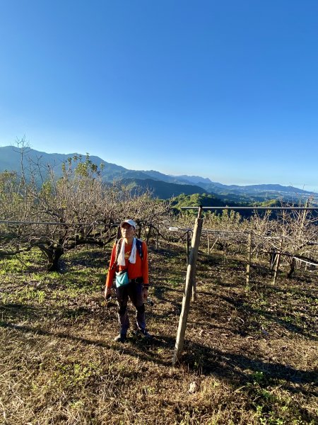 東勢卓蘭基石巡禮（大堀底.三叉坑山.穿龍.大湖桶山.內灣東.大坪頂山.大忿山.大茅坪山）1933595