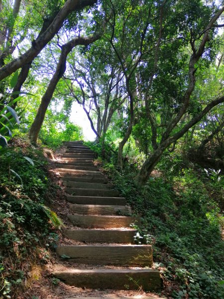 彰化社頭~陡直天梯好視野~中央嶺造林步道1101657