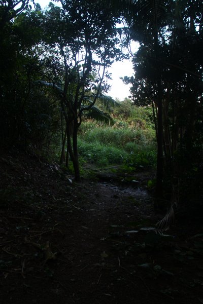 基隆．中正公園支線 中砂登山步道2023/02/122042412