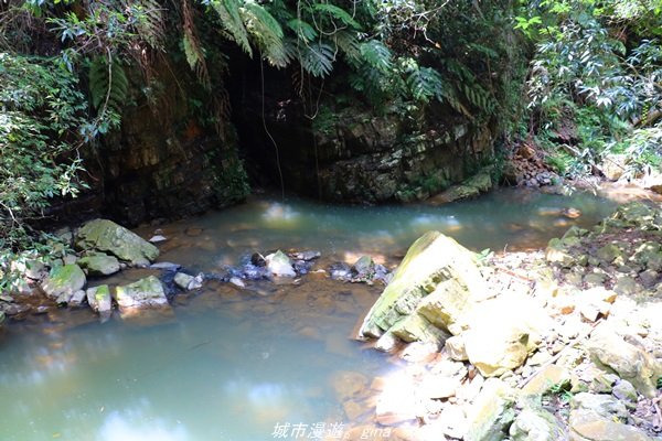 【南投。魚池】山林秘境之美景包場。澀水水上瀑布1428446