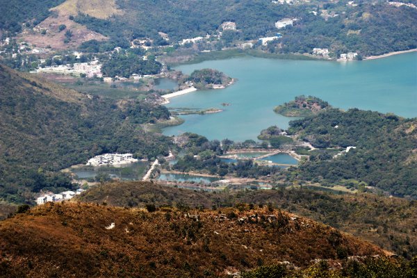 HK - 觀音脊、八仙嶺1465882