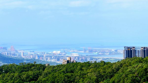 向天蝦不蝦2936796