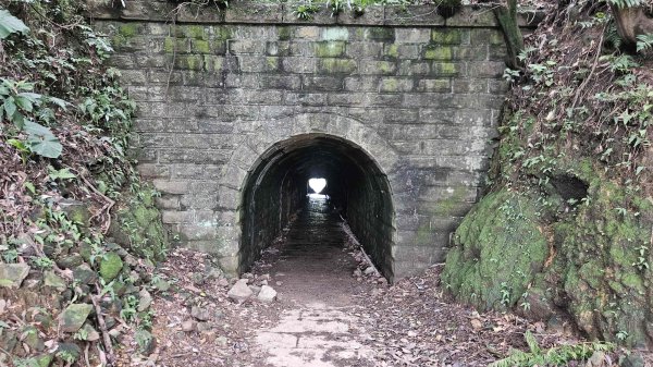 20260312瑞芳砲台山-水圳路3015918