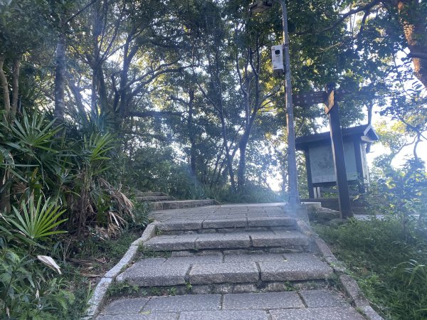 【四獸山 Short】虎豹象先行！獅山封閉中，等新步道開箱再相見2888848