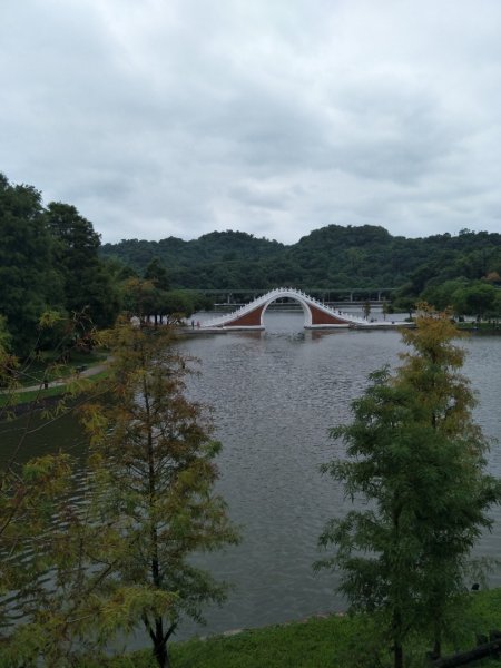 大湖公園(防災公園)1873669