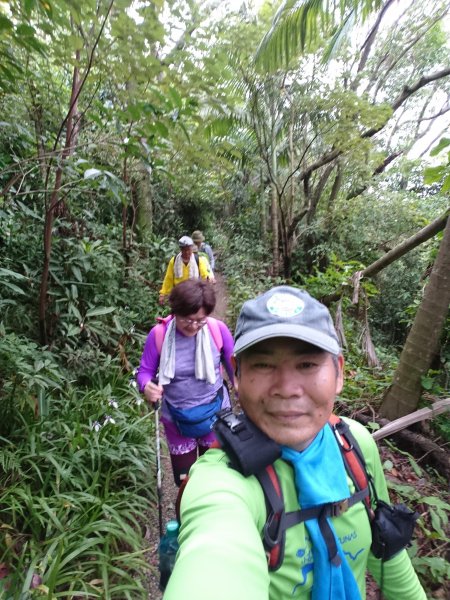 劍潭山步道904727