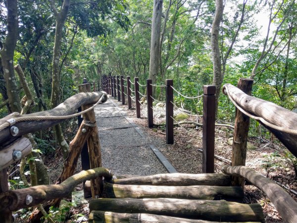 頭嵙山(小百岳#41)大坑4,5,1步道1003729