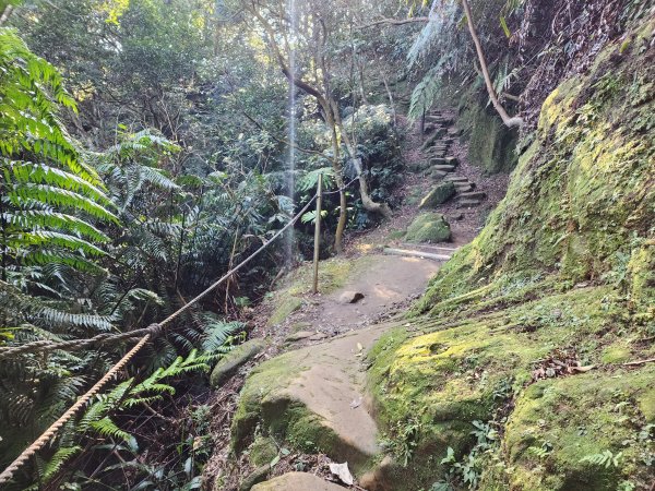 20240114指南宮站經猴山岳二格山鵝角格山至貓空站2430796