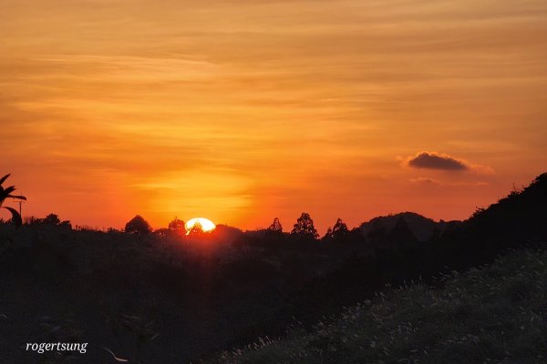 秋芒夕落，譜成令人心醉的浪漫擎天崗2656546